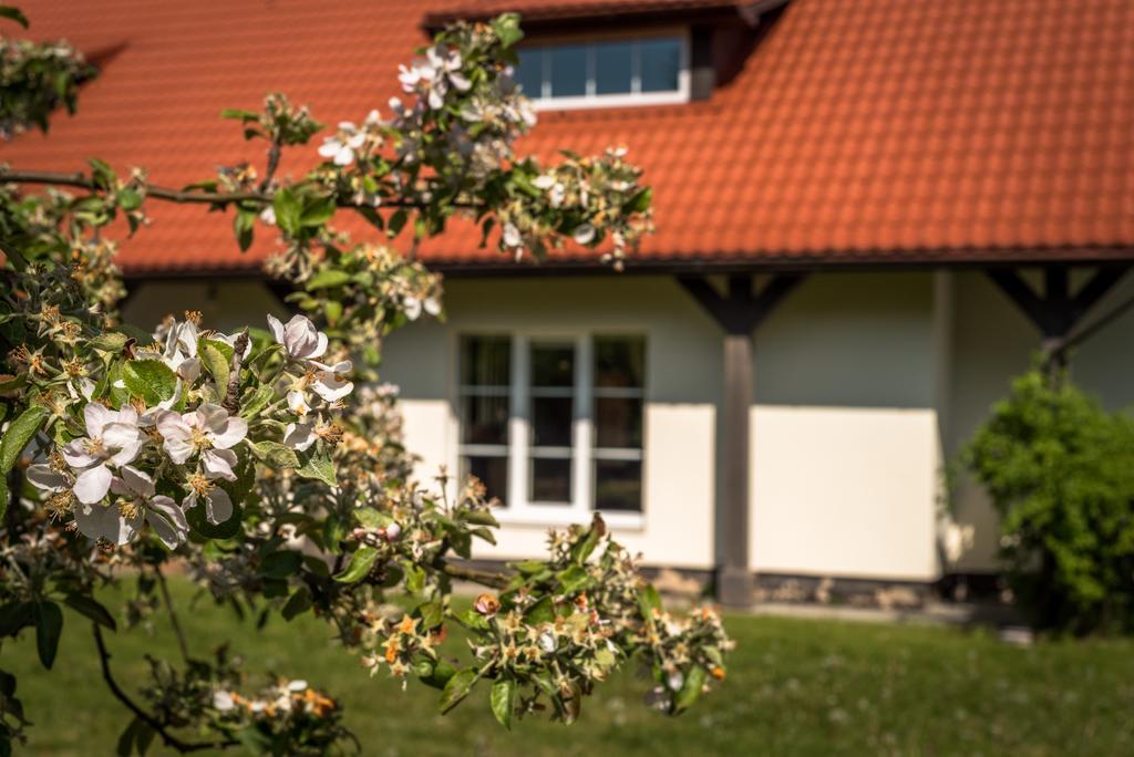 Karkles Villa - Prie Juros Buitenkant foto